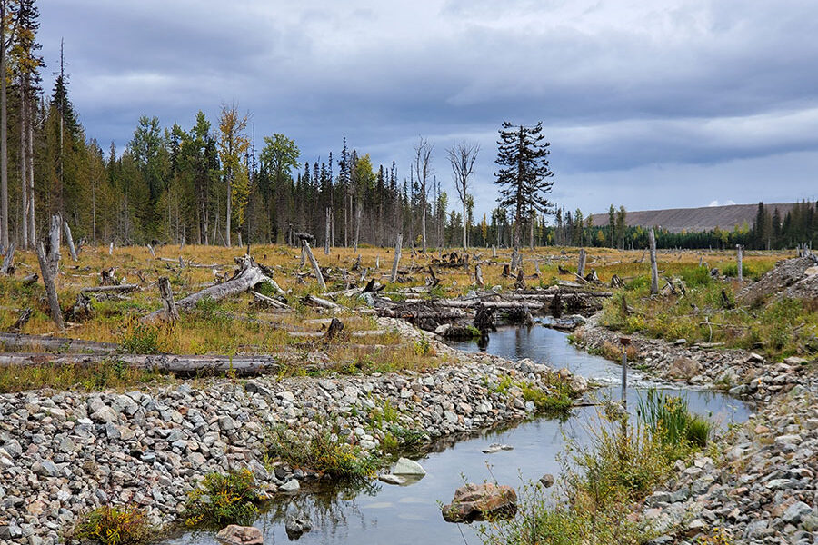 Hazeltine Creek, October 2019