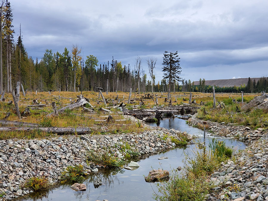 Hazeltine Creek, October 2019