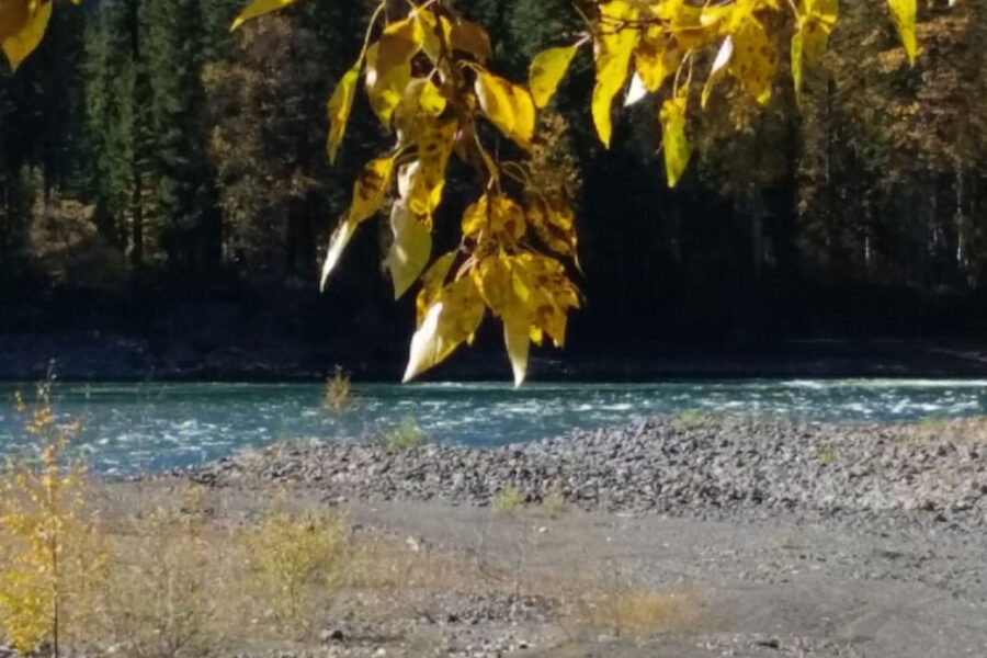 River near Mount Polley mine